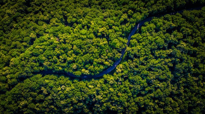 Vlad Hilitanu Pt7qzb4zlww Unsplash